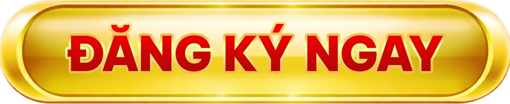 Đăng ký ngay